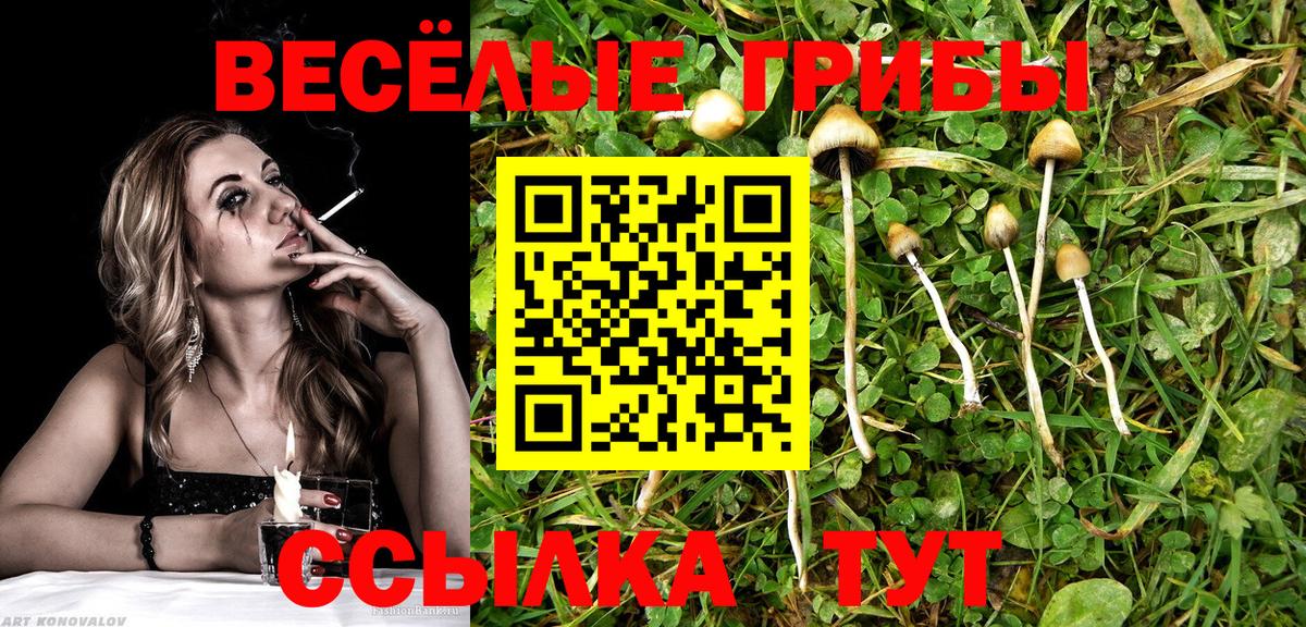 Галлюциногенные грибы ЛСД  Псилоцибиновые грибы Magic Shrooms  Лосино-Петровский  Вход с VPN 